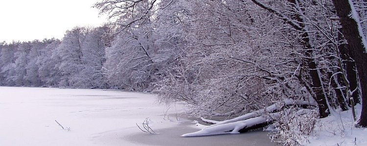 Погода в Берлине в декабре Погода в Берлине в декабре