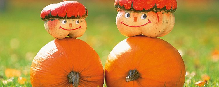 Праздник урожая в Берлине Праздник урожая в Берлине